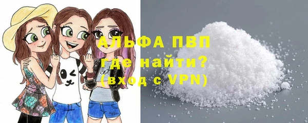 гидра Белокуриха